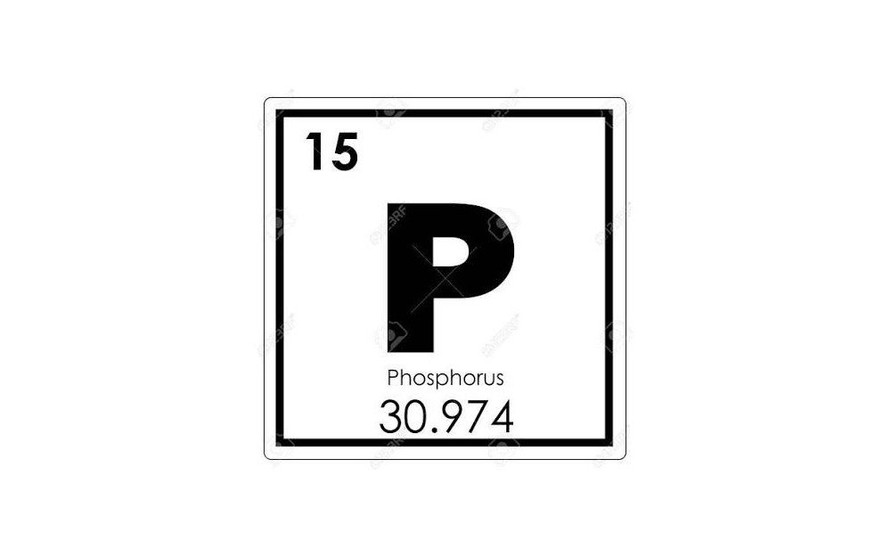 Le phosphore en circuit fermé
